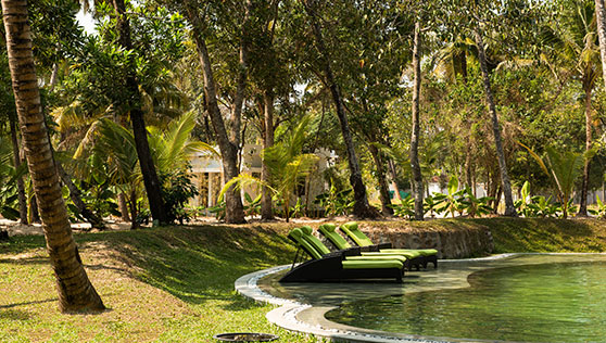 Pool with coconut trees and lawns at beach resort Kerala